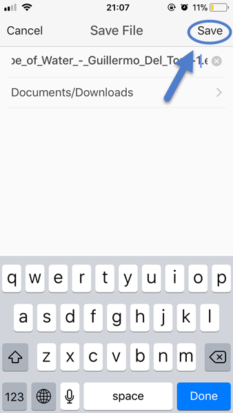 download files to iPhone